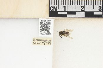 Media type: image;   Entomology 773899 Aspect: Labels